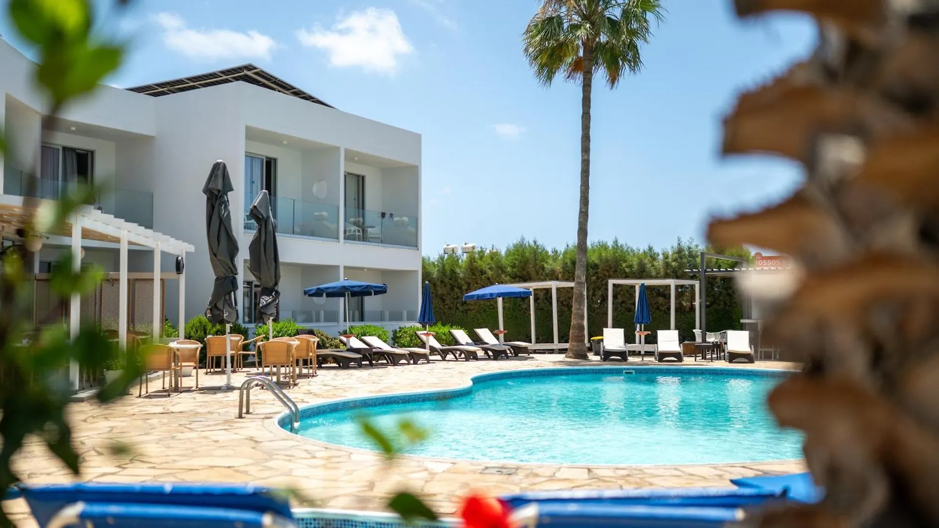 Bellini Hotel Ayia Napa 3*,  Cyprus