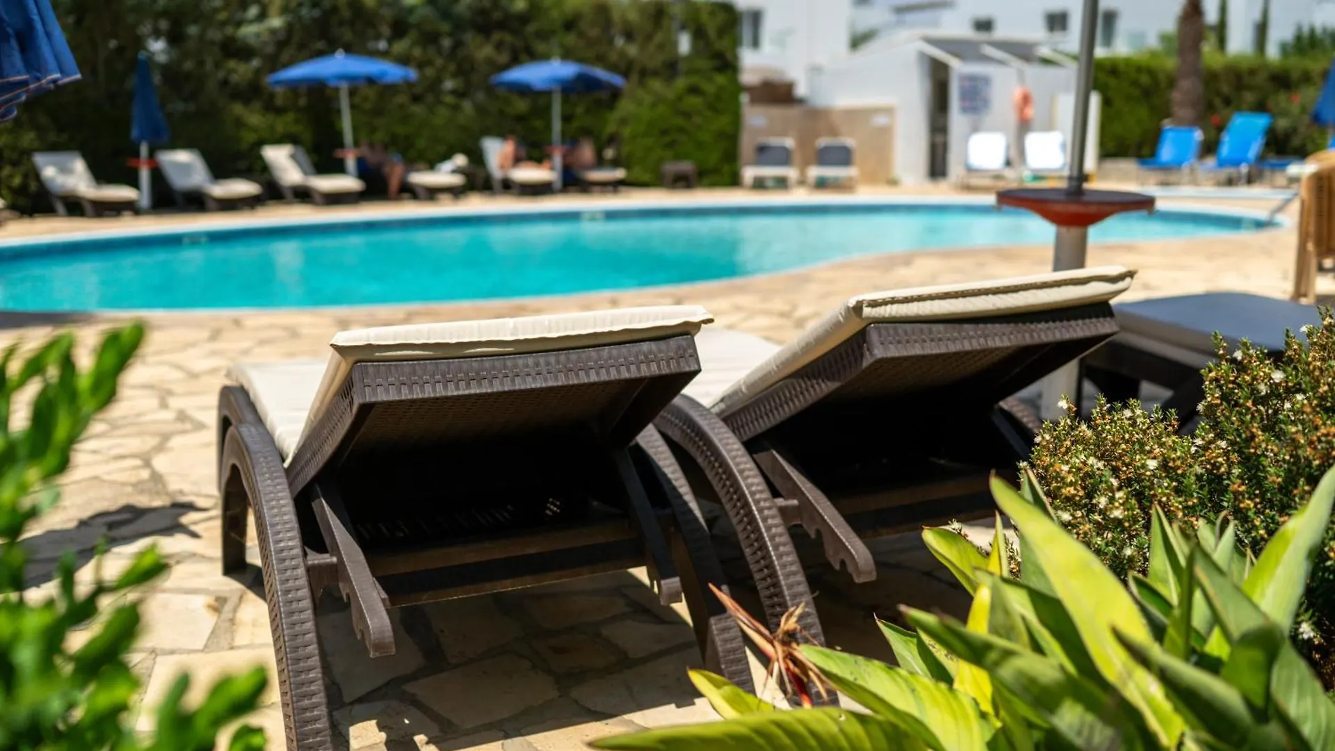 Bellini Hotel Agia Napa Aparthotel